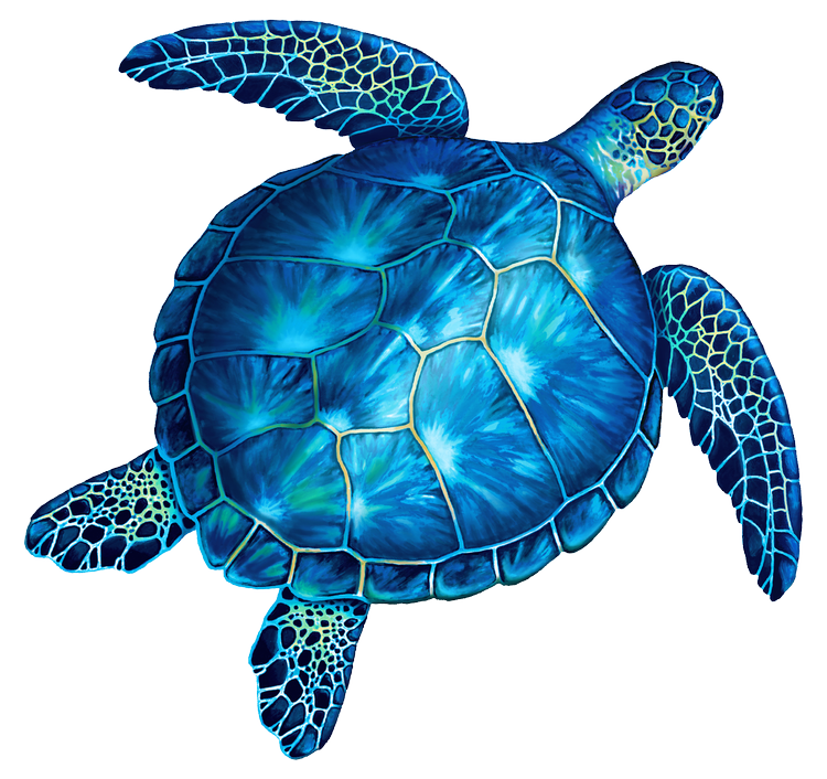 Artist's Choice Blue Turtle